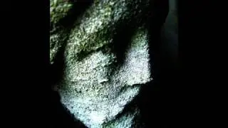Ray Lamontagne A Falling Through Gossip In The Grain