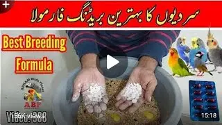 Breeding Formula Guide ke best titles hain:Love Birds Winter Breeding Formula Guide ❄️ | Complete C