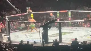RAUL ROSAS JR vs TERRENCE MITCHELL 1st round ! Finish!