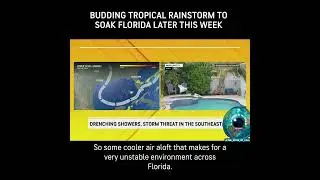 🚨 Heavy rain will hit Florida this week 😱