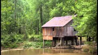 Dr. D.D. Hollis - Lone Indian