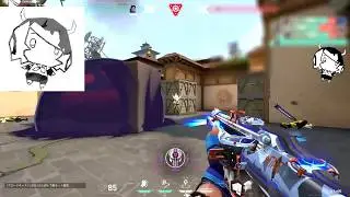 Radiant aimers: 12