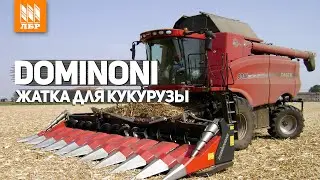 Жатка Dominoni для уборки кукурузы под комбайн Акрос