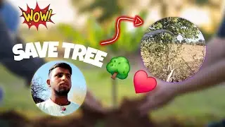 SAVE TREE 🌴🌲 #subscribeplz #vlog @sapsa_vlogs_7773