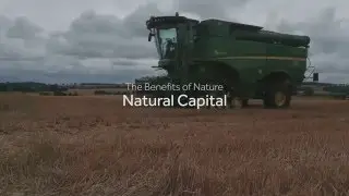 Nature&rsquo;s assets: &lsquo;natural capital&rsquo; explained