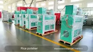 Advanced Rice Polisher | Perfect for Rice Mill Plants & High-Quality Processing #RiceMillSupplier