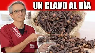 Qué PASA si MASTICAS un CLAVO de especia al DÍA