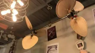 Fanimation Palisades Ceiling Fan