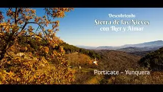 Visitando el casta&ntilde;ar de Yunquera en Sierra de las Nieves