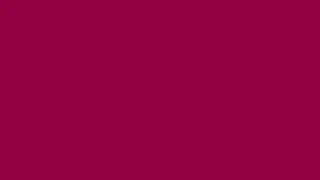 Cardinal Red Screen for 1 hour in full HD 4K!