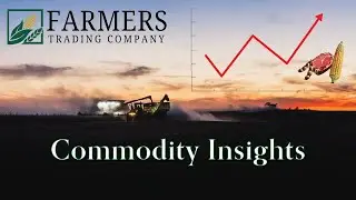 What Happened To The Corn Market Rally?