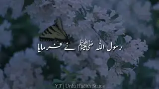 Hadees Whatsapp Status Video In Urdu || Hadees In Urdu Status || Urdu Hadith Status