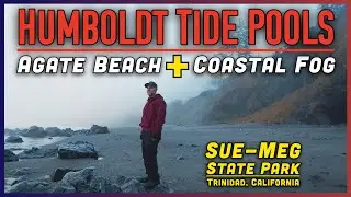 Tide Pools EXPLODING With Life at Agate Beach 🌊 Sue-Meg State Park | Humboldt County