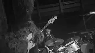 the Noise & the Naive - Mus Musculus (Live at the Cluny)