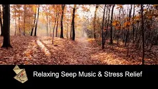 Relaxing Sleeping Music | Best Stress Relief Music and Meditation