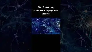 Топ 5 фактов, которые взорвут ваш разум #top #факты #top5