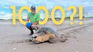 1000 Subscribers, New Year, Big Plans Ahead