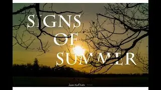 Signs of Summer | Dublin in 1 Minute