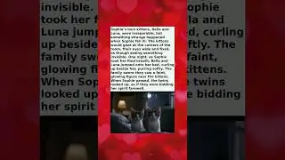 The Twin Kittens Who Saw Spirits&hellip; And Never Left Her Side