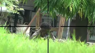 Airsoft Sniper Gameplay - Scope Cam - CJ*1 Sniper Scopecam Series Debut