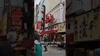 Dotonbori Osaka Japan