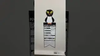 Southern Rockhopper Penguins