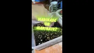Marinade or Marinate? #english #learning #shorts #shortvideo #englishlearnershere #vocabulary #words