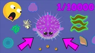 MOPE.IO I GOT THE ULTRA RARE DEMON PUFFERFISH! (0.000001% Chance) + Server Domination!