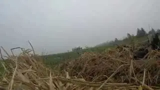 September goose hunting