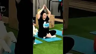 Adorable Dog Changes the Rules at the Gym #shorts