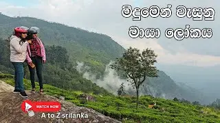 🌿✨ Lipton&rsquo;s Seat, Sri Lanka | Breathtaking Views & Tea Estate Experience ☕🏞️ ලිප්ටන් සීට්