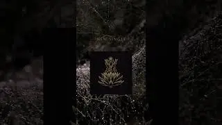 Entheomorphosis: I&auml;t&ouml;n