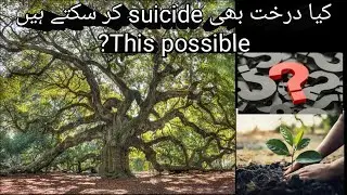 This possible trees suicide, amazing informative video,#top #animals #animal #foryou #facts #shorts