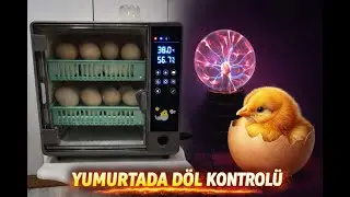 YUMURTADA DÖL KONTROLÜ ..ACABA KAÇ YUMURTA DOLU ÇIKACAK !! BÖLÜM 2