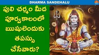 Why Saints Sit of Tiger Skin While Taking Meditation | Dharma Sandehalu | Bhakthi Tips | Jai Media