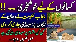 Rice seeds subsidy in pakistan 2021 | Today subsidy update on Rice varieties