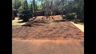 Pool Removal Company in Johannesburg and Pretoria