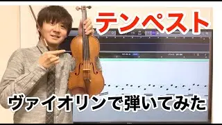 ベートーベン ピアノソナタ17番「テンペスト」3楽章をヴァイオリンで演奏してみた　Beethoven Piano Sonata No.17 