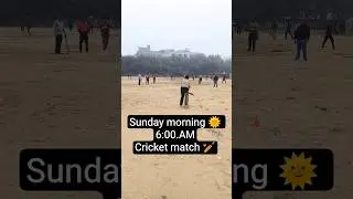 cricket🏏 #cricket #sunday #match #viratkohli #lovesong #viral #shortsviral #life #reels #viralvideo