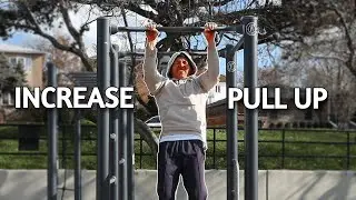 Trying to Increase My Pull Ups