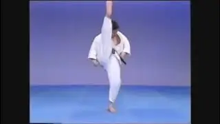 Kyokushin 101: Mae Keage