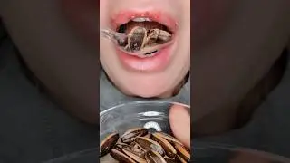 ASMR Satisfying Eating Crunchy Sunflower Seeds 🌻  #asmr #asmrcrunch #satifying