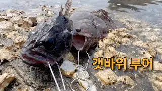 도보 워킹 루어낚시!! 팀 모임!! 갯바위 루어꾼!!