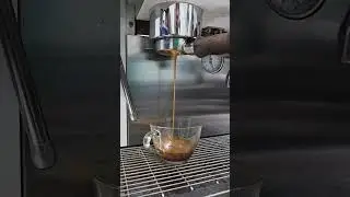 sanremo zoe #mayphacaphe #coffee #thienlongvina #suamayphacaphe #sanremo