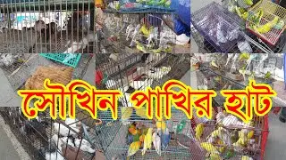 মেরাদিয়া হাটে সৌখিন পাখি কবুতর বাজার | Meradia Hat Rampura | Birds, Pigeon, Chicken, Ducks Market |