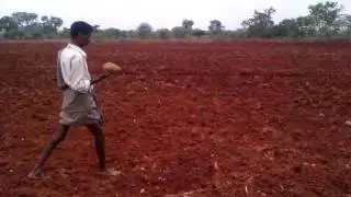 Ground water detection using coconut at Devanur area
