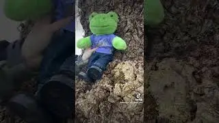 Build a Bear BaB Spring Green Frog is a Lookout Tiktok