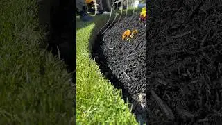 #mulching #edge #satisfying #oddlysatisfying #lawn #spring #flowers #pov #diyprojects #landscape