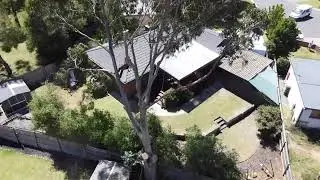 Arbay Tree Services - Large Blue Gum Tree Removal in Frankston South, Victoria, Australia