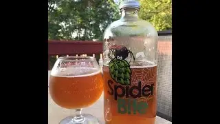 Spider Bite Beer Co. 